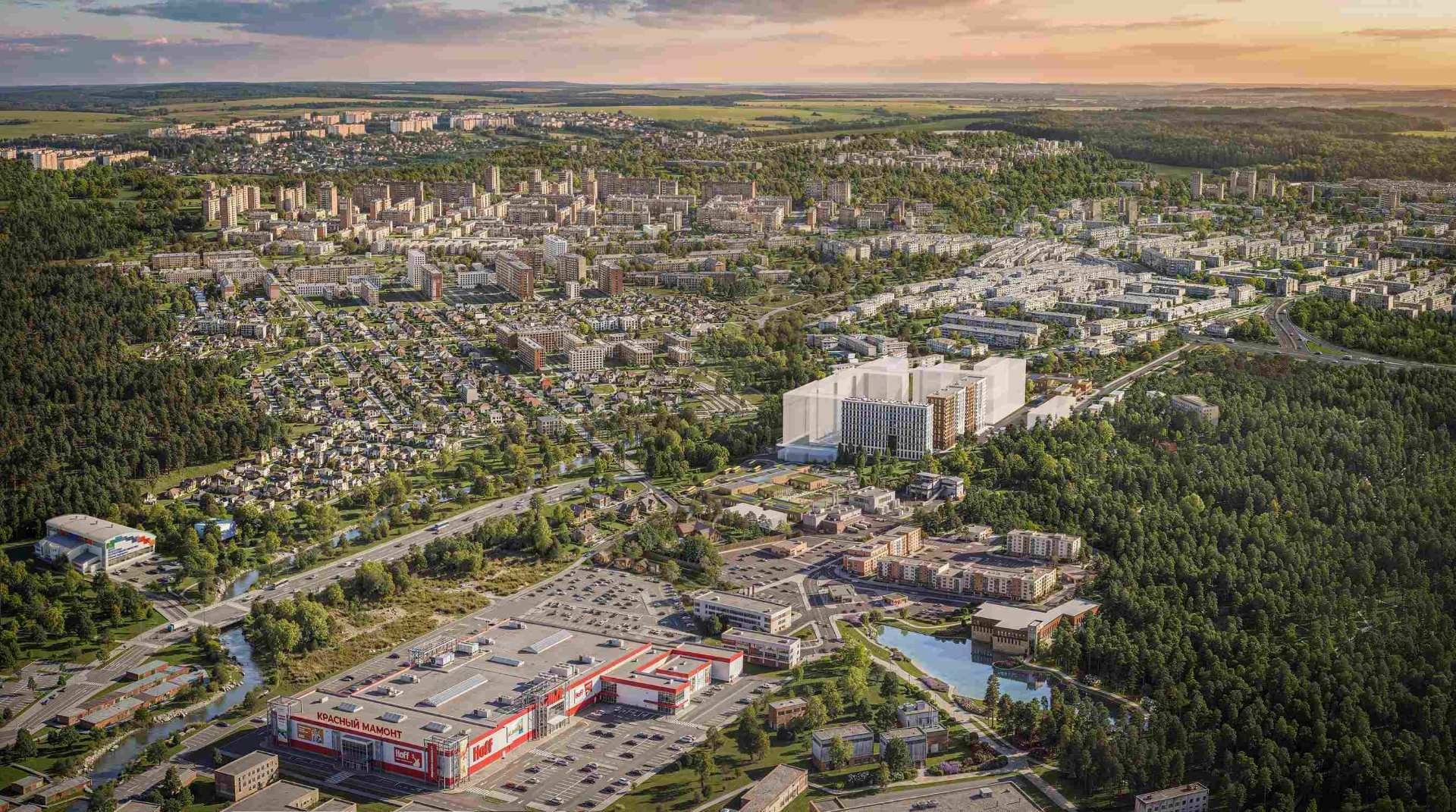 Сила леса